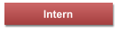 Intern